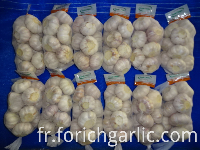 Normal White Garlic 2019 Jinxiang